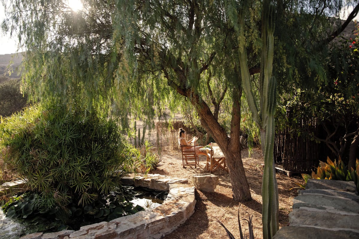 Morning Glory | Terraza o patio