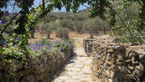 A stone pathway leading through a rustic gate into a vineyard. - Under the Linden Tree Tinos (Tinos)