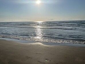 Beach - Hangout with the Sea Turtles & Pelicans – North Padre (Corpus Christi)