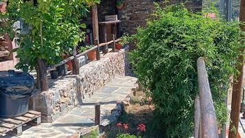 House | Property grounds