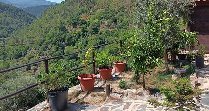 Immaculate 1-bed House in Gois Mountain View