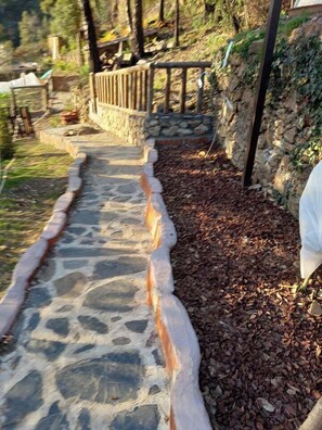 House | Property grounds
