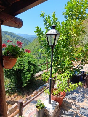 House | Property grounds - Immaculate 1-bed House in Gois Mountain View (Góis)