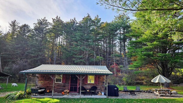Un chalet rustique doté d’une véranda, d’un espace salon extérieur et d’une table de pique-nique.