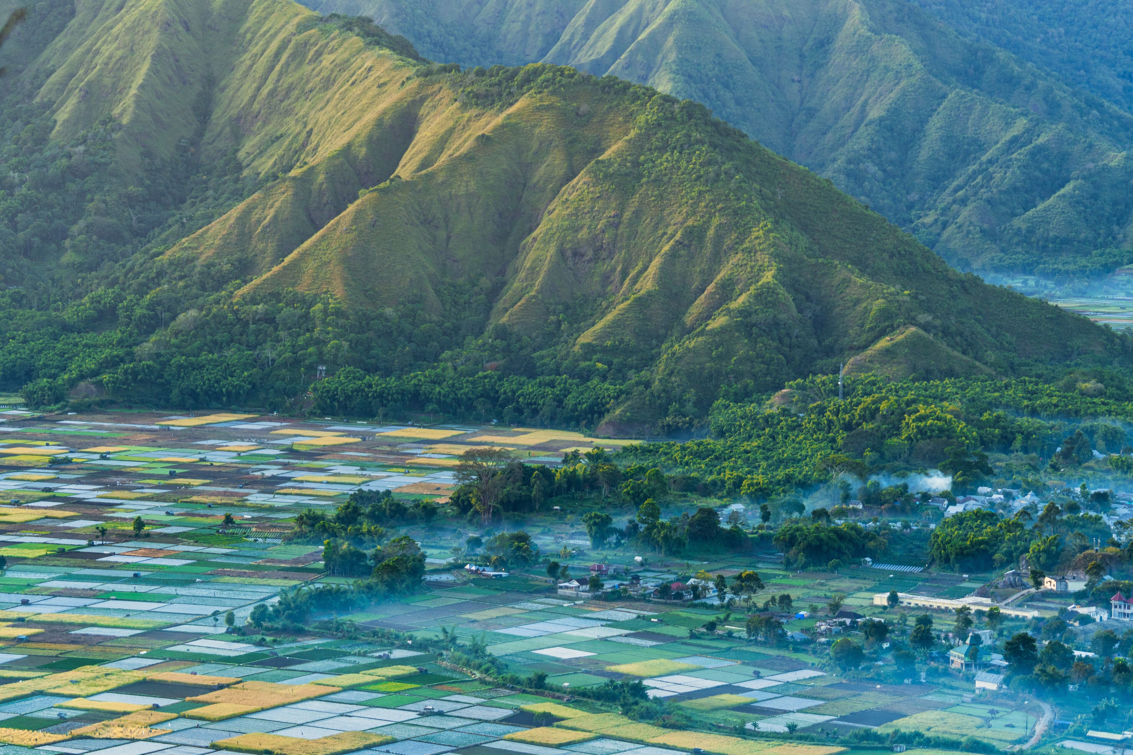 A panoramic view of terraced fields and a village nestled in a mountainous region.