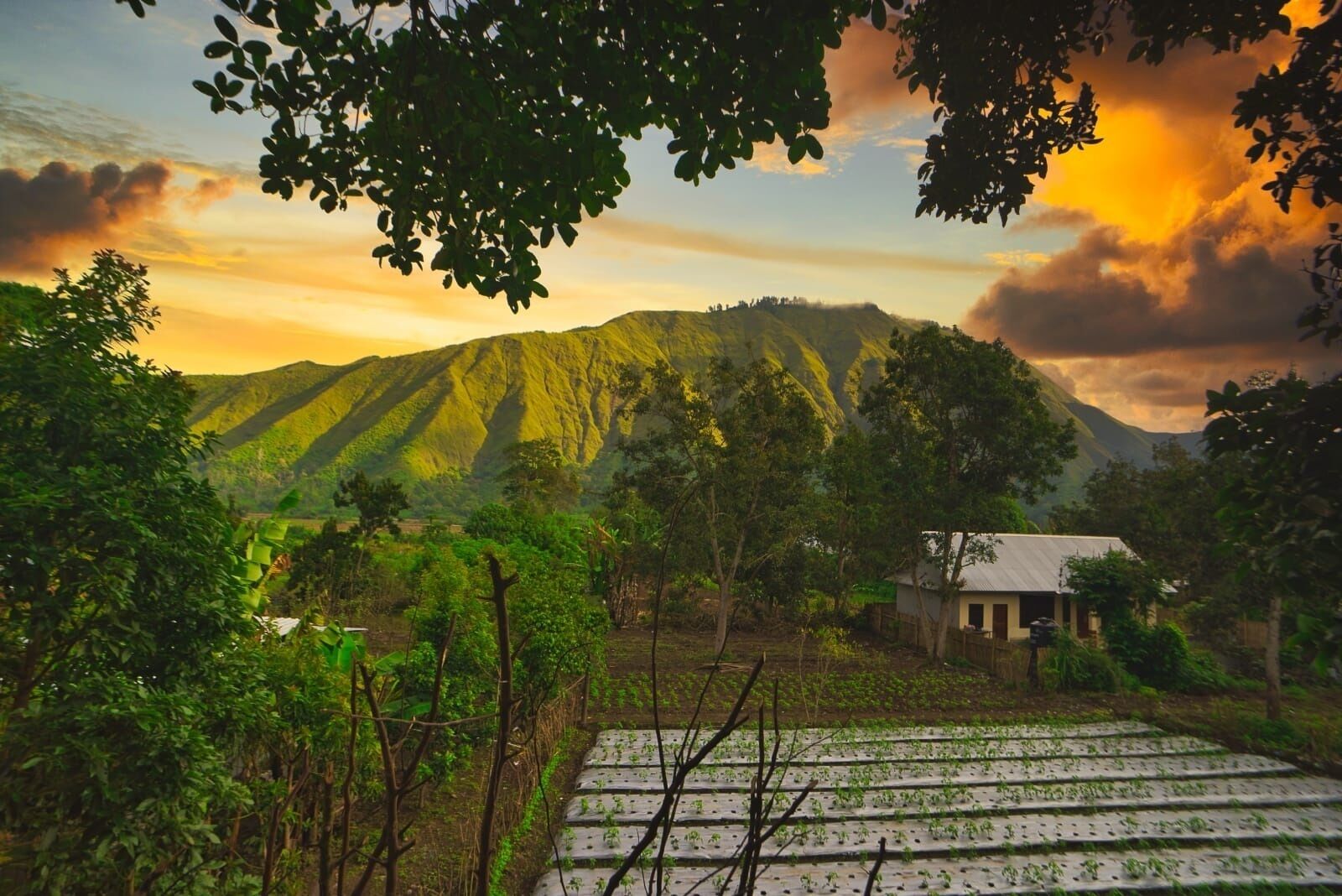 Habitación estándar | Vista al patio
