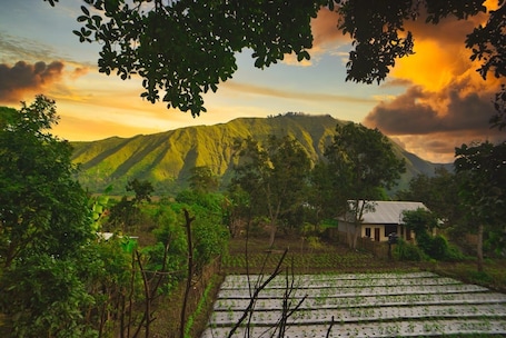 标准房 | 庭院景观