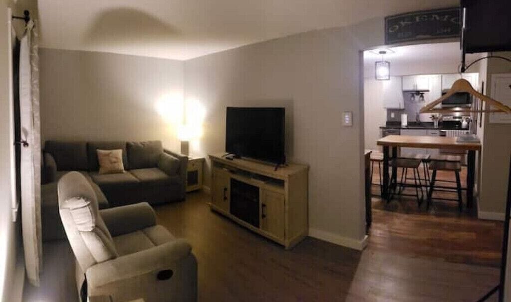 Smart TV, fireplace, books