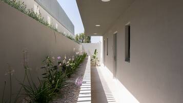 A narrow, sunlit corridor with a row of plants and flowers along one wall, leading to a door.