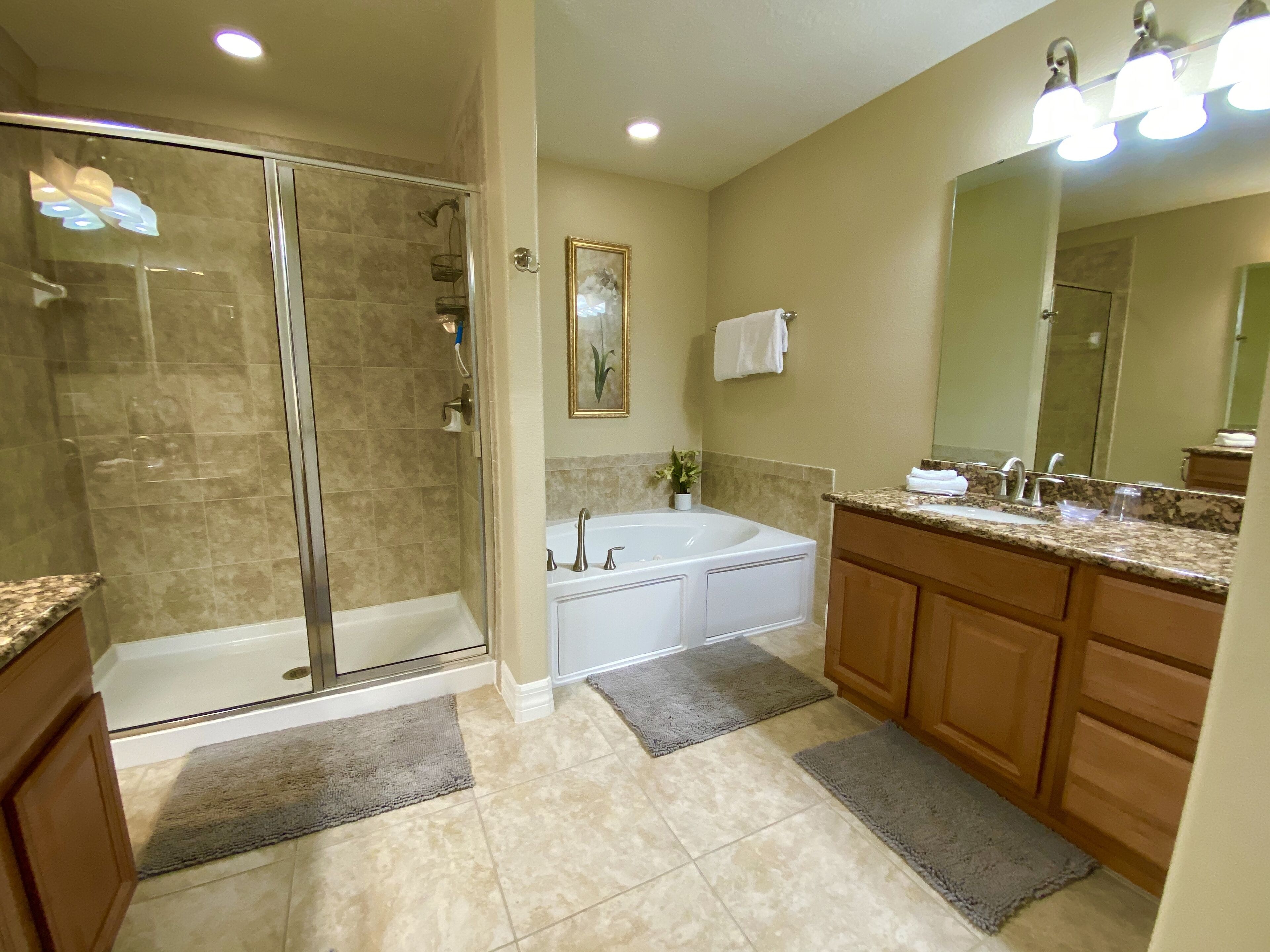 A modern bathroom with a walk-in shower, a freestanding bathtub, and a vanity with a large mirror.