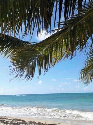 Sun loungers - Exclusive Paradise Beach (Medianía Alta)