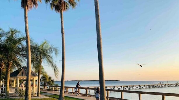 Un paseo marítimo con palmeras, un muelle de madera y una vista despejada del mar.