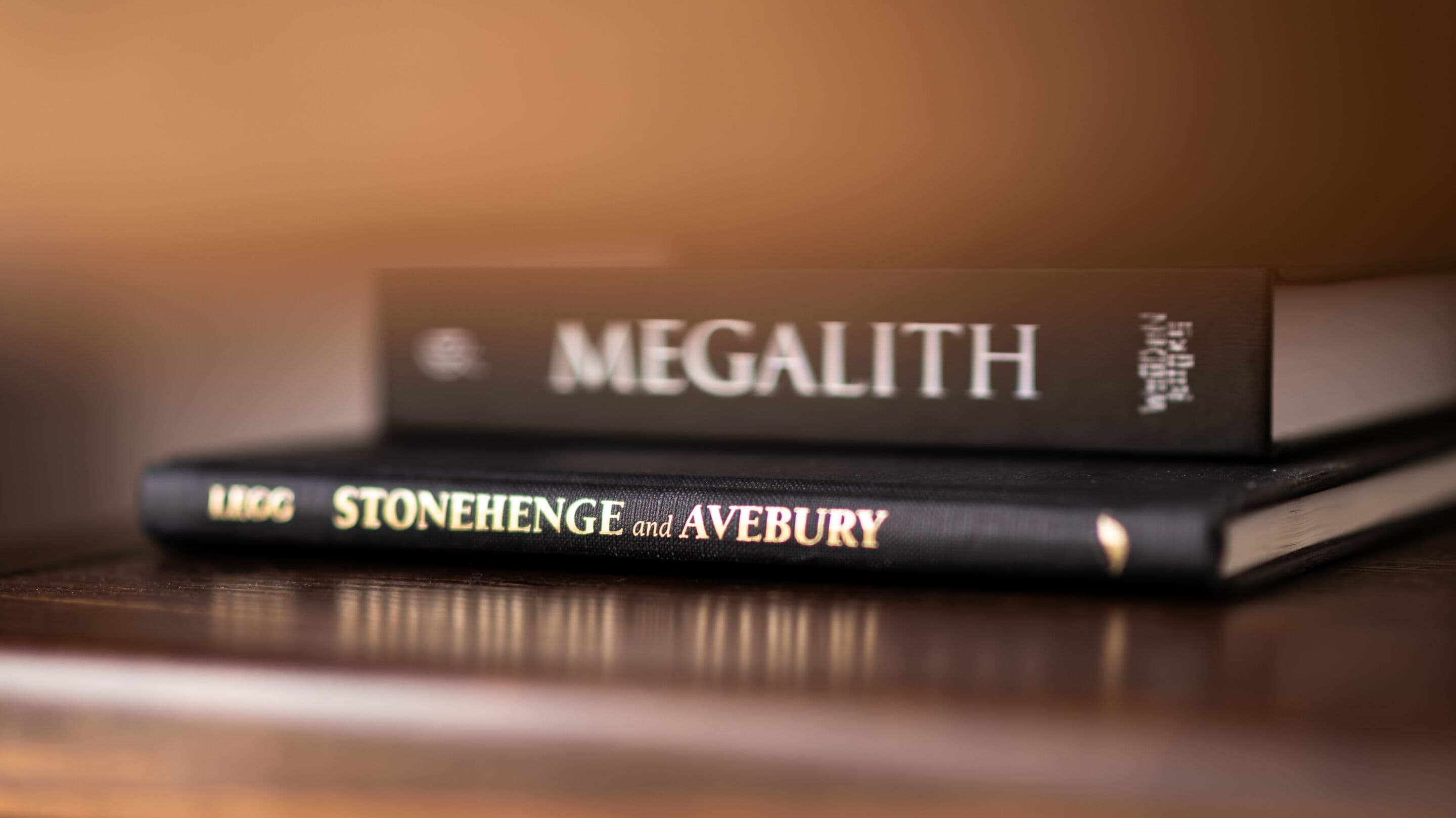 Two books titled "MEGALITH" and "STONEHENGE and AVEBURY" on a wooden surface.