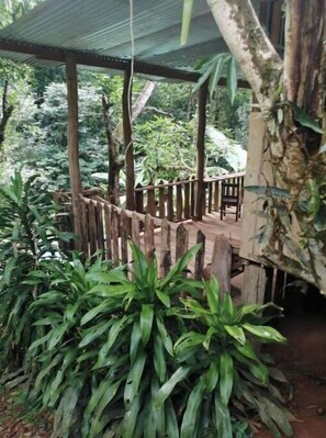 Property grounds - Cabaña The Garden (Naranjito)