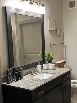 Towels, soap, toilet paper - Luxury 1 bedroom Frisco Apartment  (Frisco)