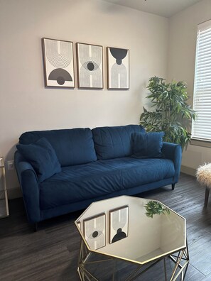 Living area - Luxury 1 bedroom Frisco Apartment  (Frisco)