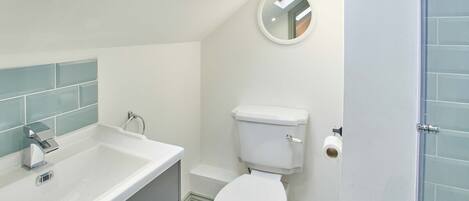 A bathroom with a skylight, a toilet, and a sink with a mirror.