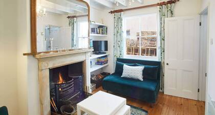 Host Stay Gun Gutter House