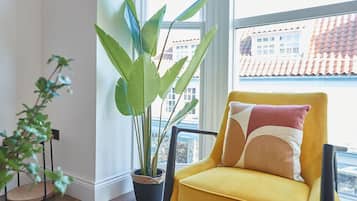 Apartment | 1 bedroom