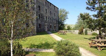 Host Stay The Watchtower