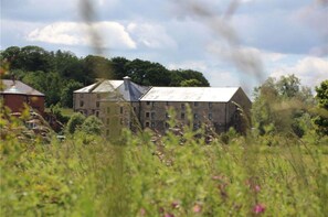 Talo | 3 makuuhuonetta