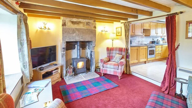 A cozy living room with a fireplace, a television, and a sofa. - Host Stay Honeysuckle Cottage (Saltburn-by-the-Sea)