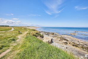 อพาร์ทเมนท์ | 3 ห้องนอน