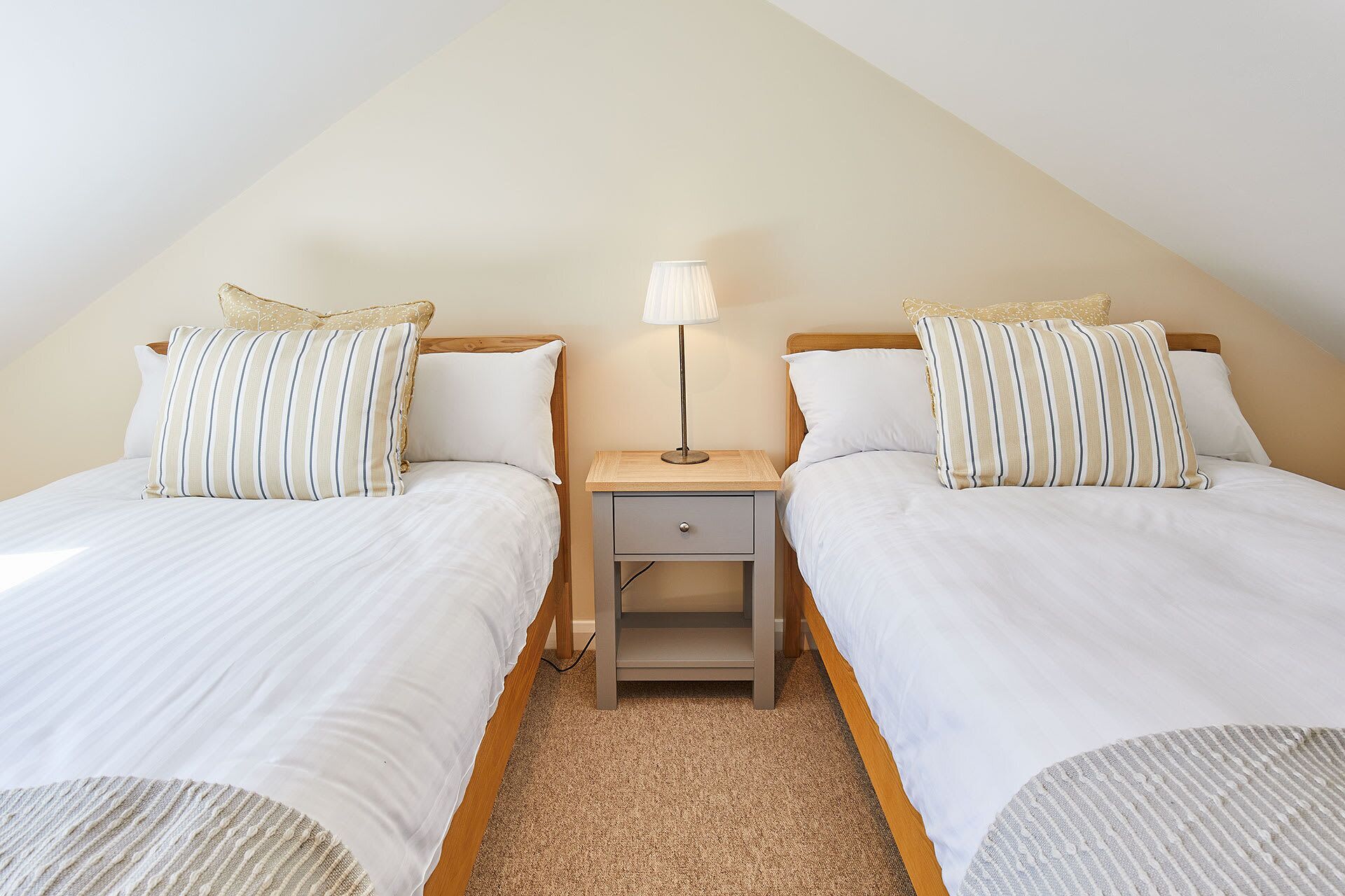 A twin bedroom with two beds, a nightstand with a lamp, and a carpeted floor.