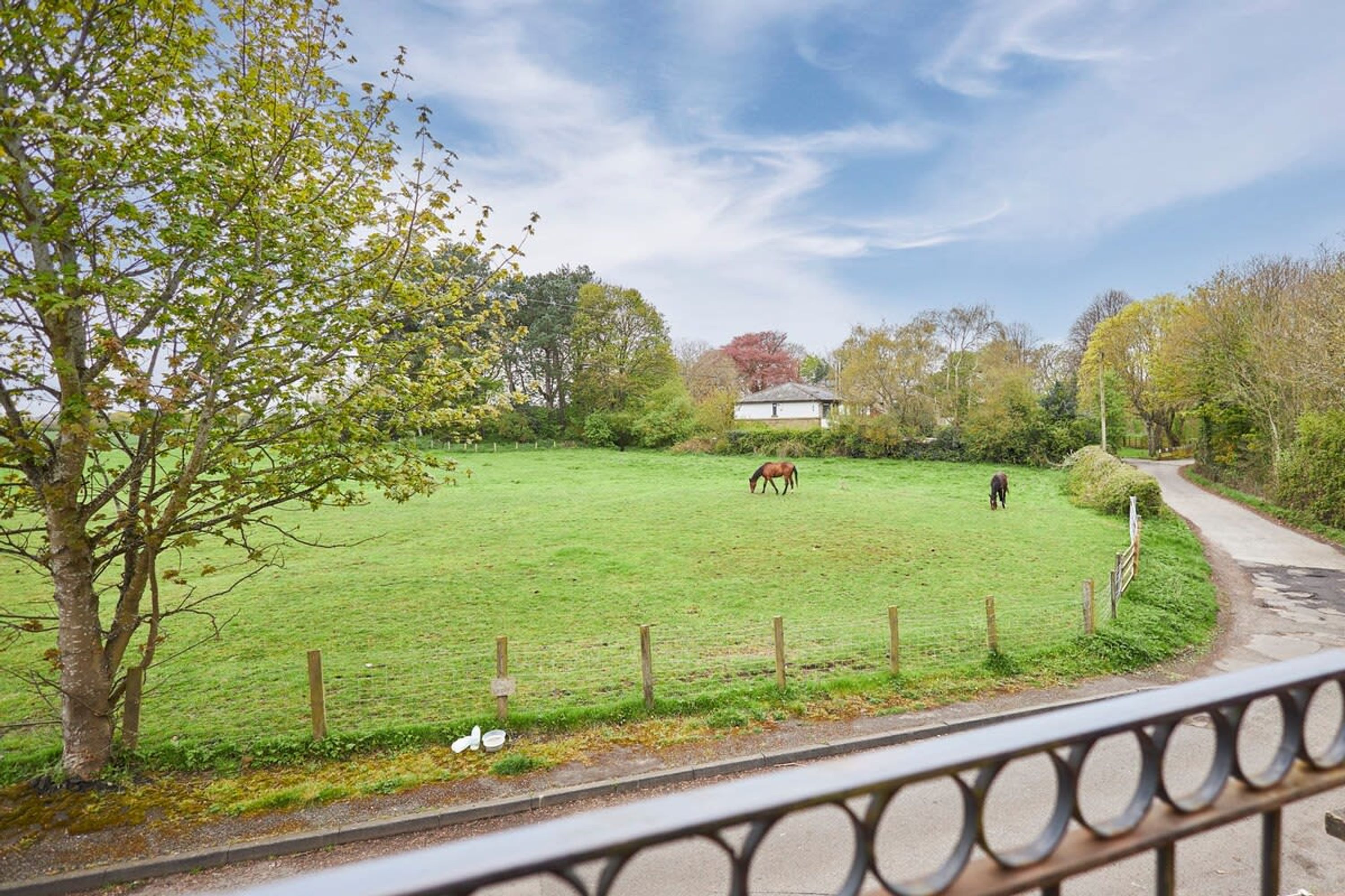Paisaje rural con un campo cercado, un caballo y una casa al fondo.