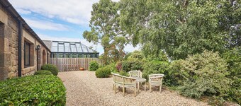 Host Stay Sandpipers