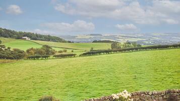 Departamento | 1 habitación