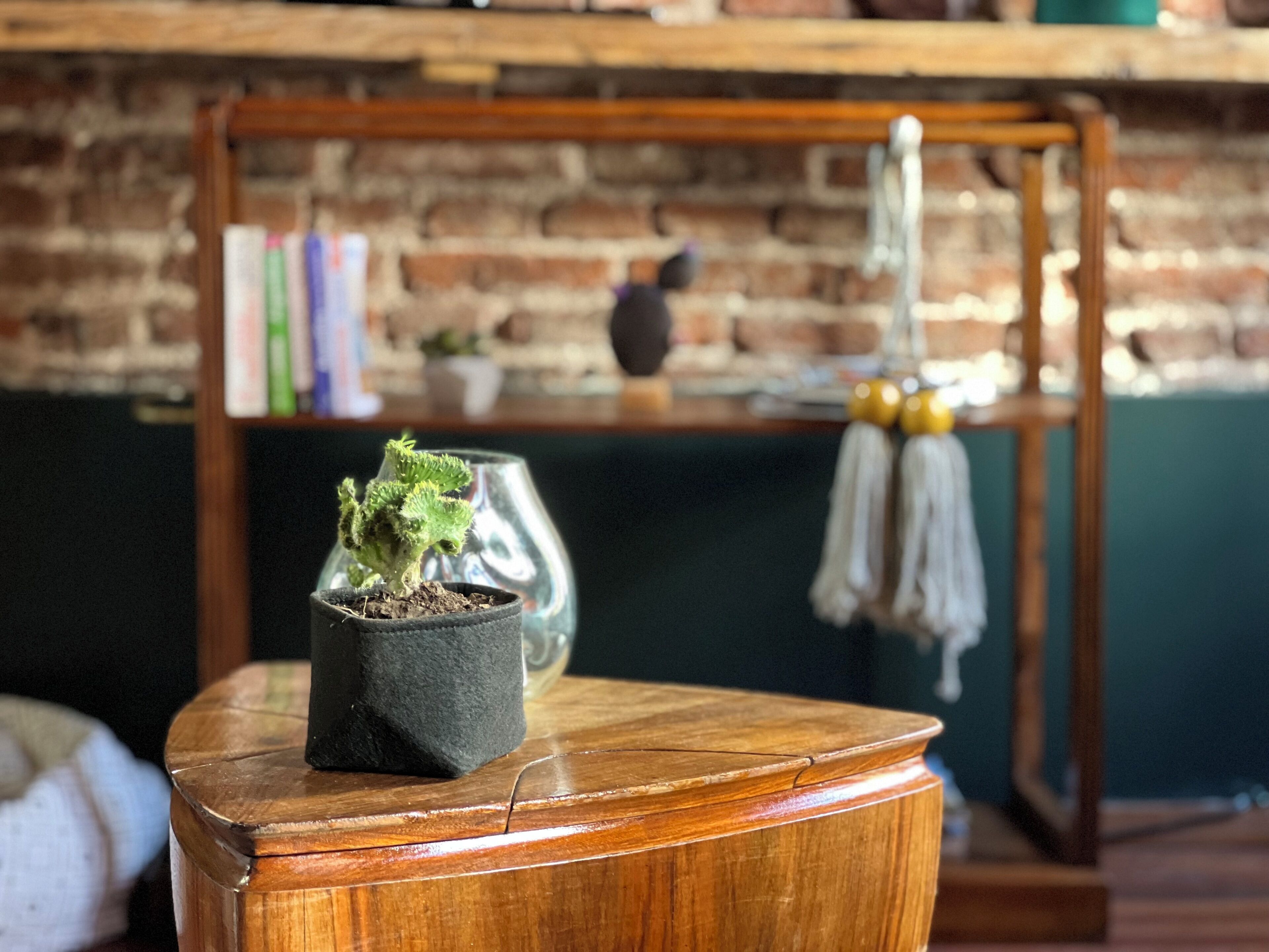 Foto - Marcel de Buenos Aires