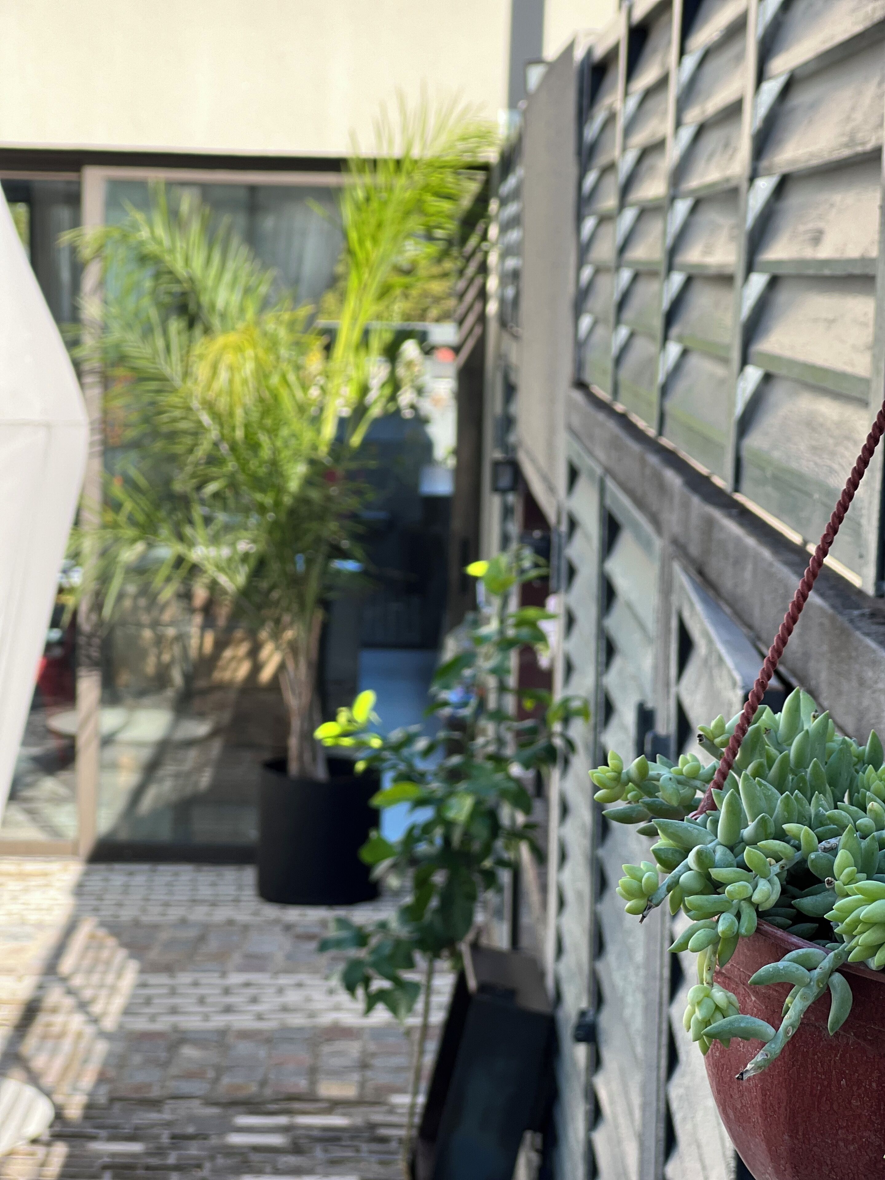 Foto - Marcel de Buenos Aires