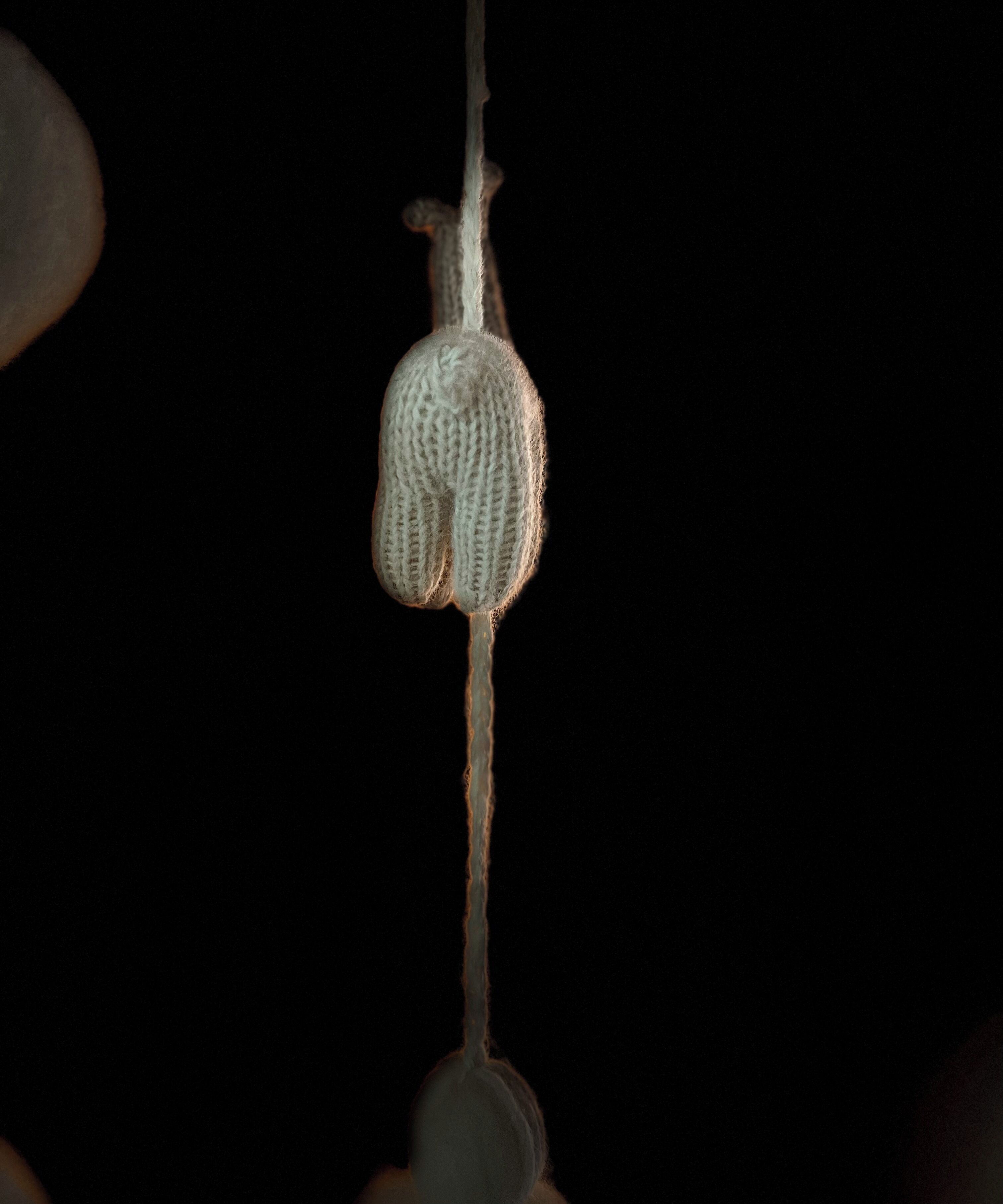 Foto - Marcel de Buenos Aires