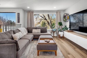 Smart TV, chimenea, videojuegos, libros