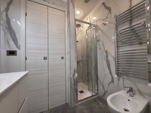 Shower, hair dryer, bidet, towels