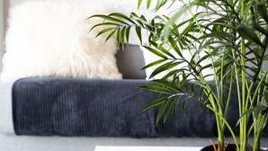 A modern living room with a black sofa, a white fluffy pillow, and a potted plant on a black table. - Le Coquelicot (Annecy)