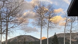 A white SUV parked in a driveway with birch trees and a mountain backdrop.