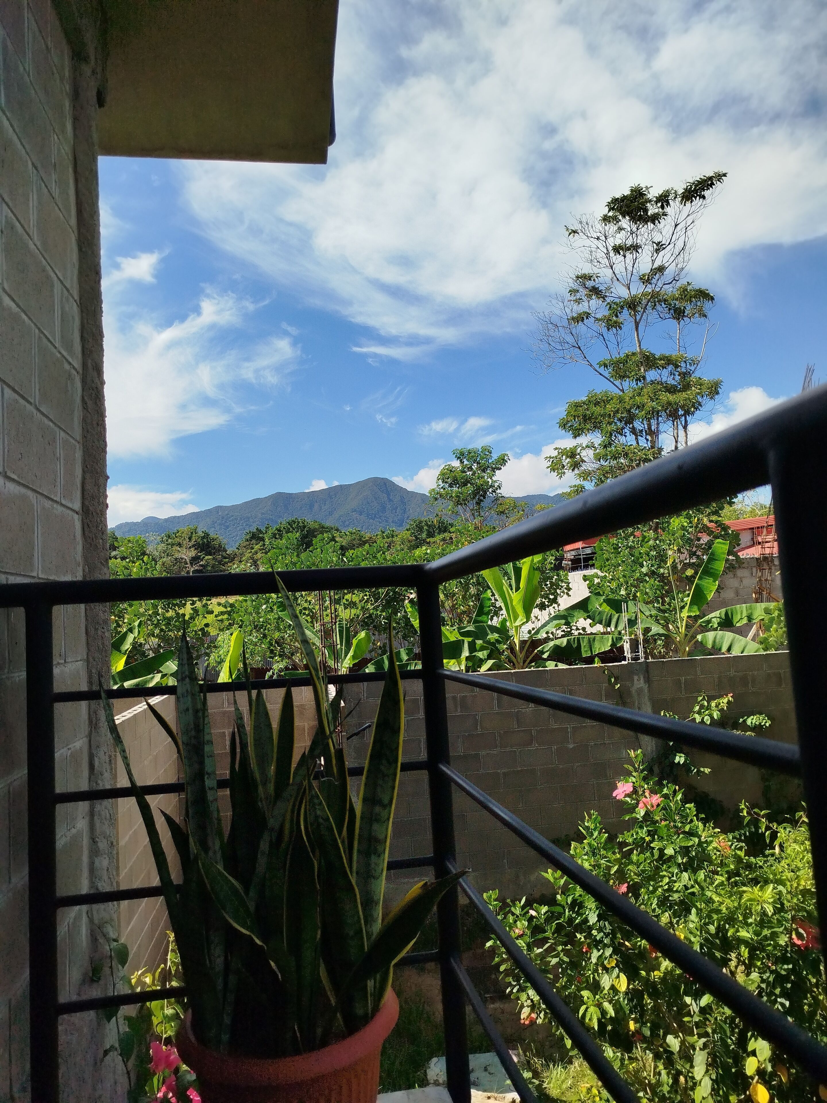 Foto - M&K House