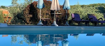 Sagrantino Experience