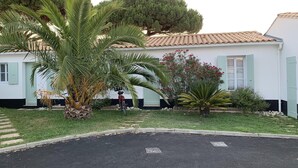 A white building with green shutters, a paved driveway, and a palm tree in the foreground. - AURORE (30 chemin des Burons, n°15, Le Bois Plage) (Le Bois-Plage-en-Ré)