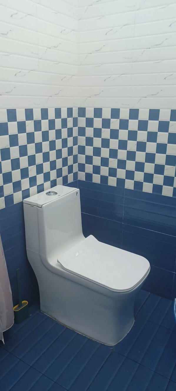 A bathroom with a white toilet, blue checkered tiles on the walls, and a blue floor.