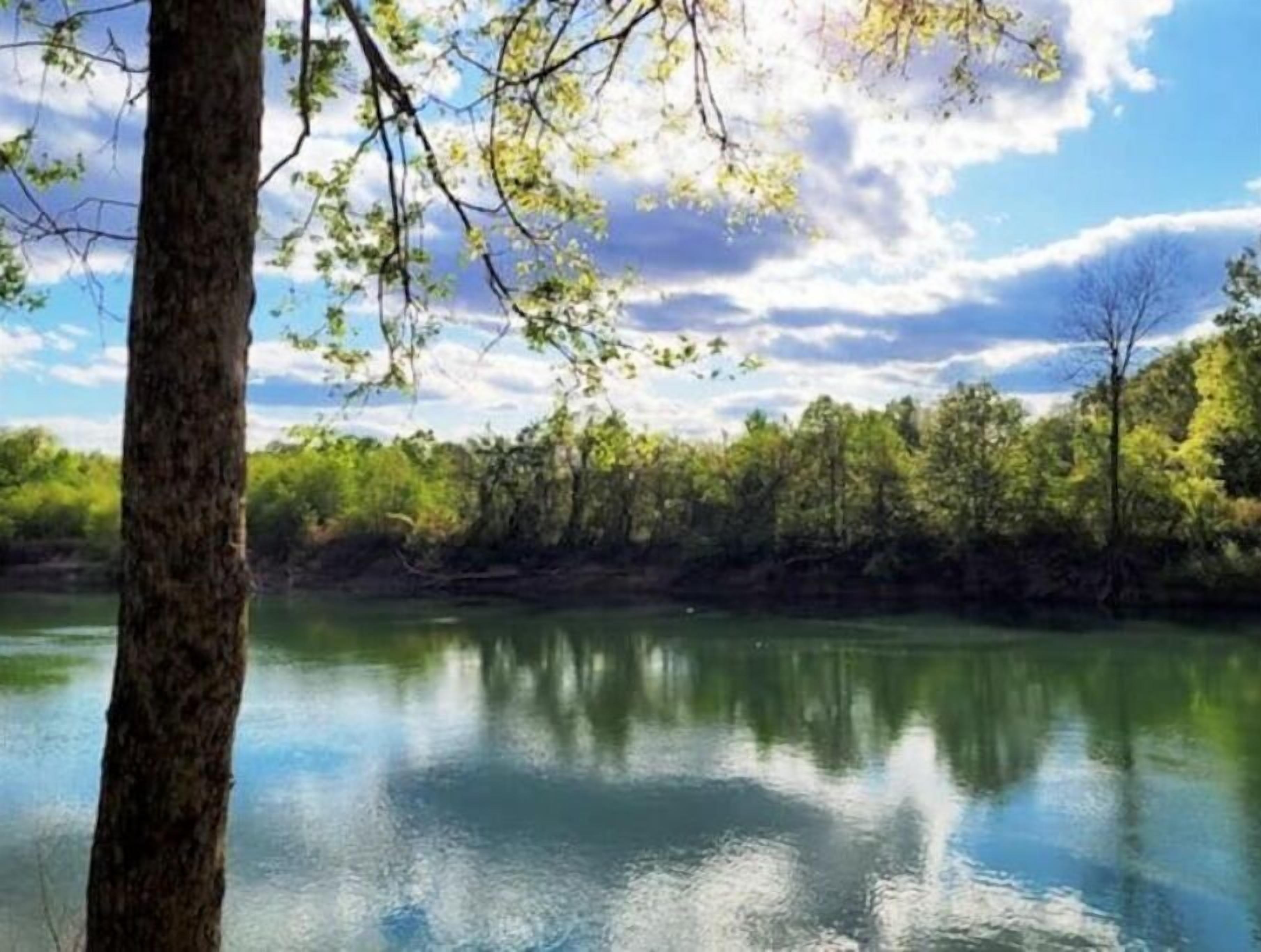 A calm river with trees reflecting on the water, surrounded by a dense forest.