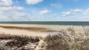 En strand med sand och tång, en klar himmel och några moln.