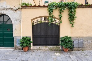 A building with a black gate, two potted plants, and a green door.