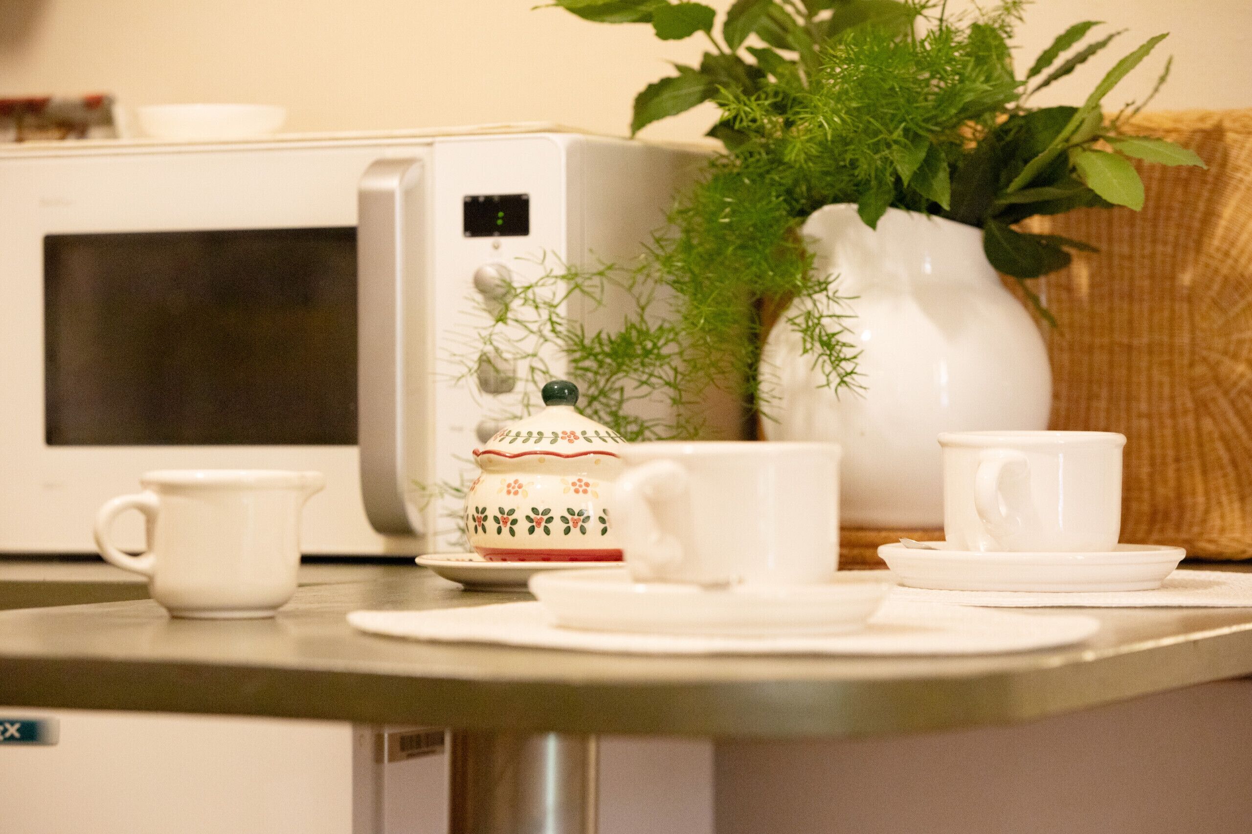 A kitchen counter with a microwave, a coffee maker, and a potted plant.