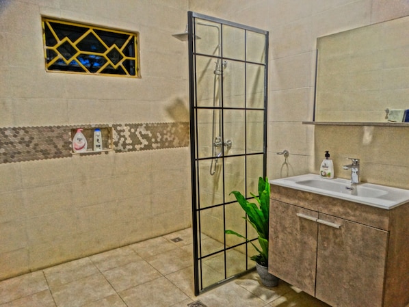 Hair dryer, towels, soap, shampoo