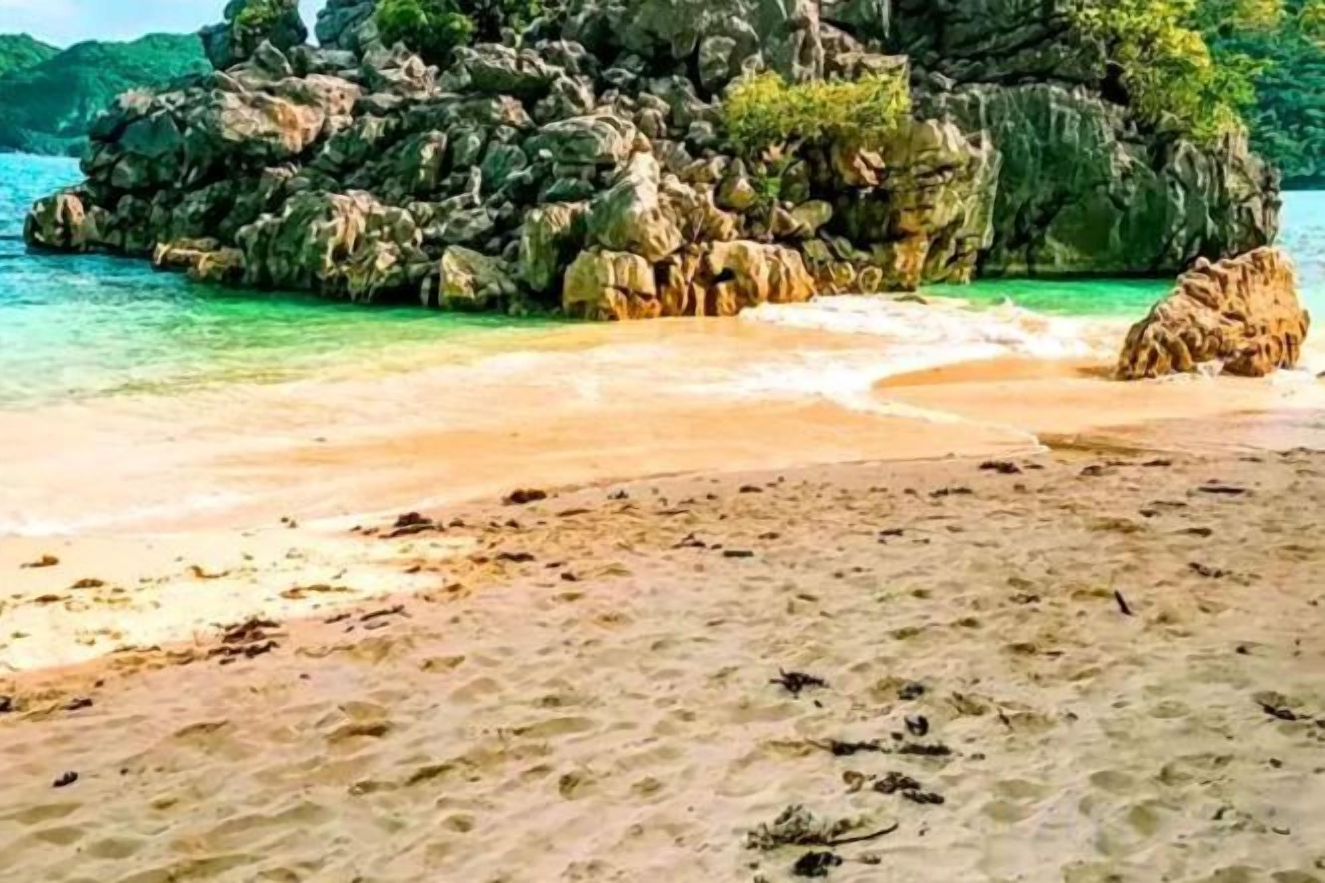 Beach
