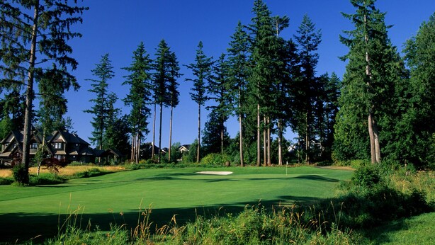 Hyvin hoidettu golfkenttä, jossa on vihreä nurmialue, korkeita puita ja taustalla näkyvä mökki.