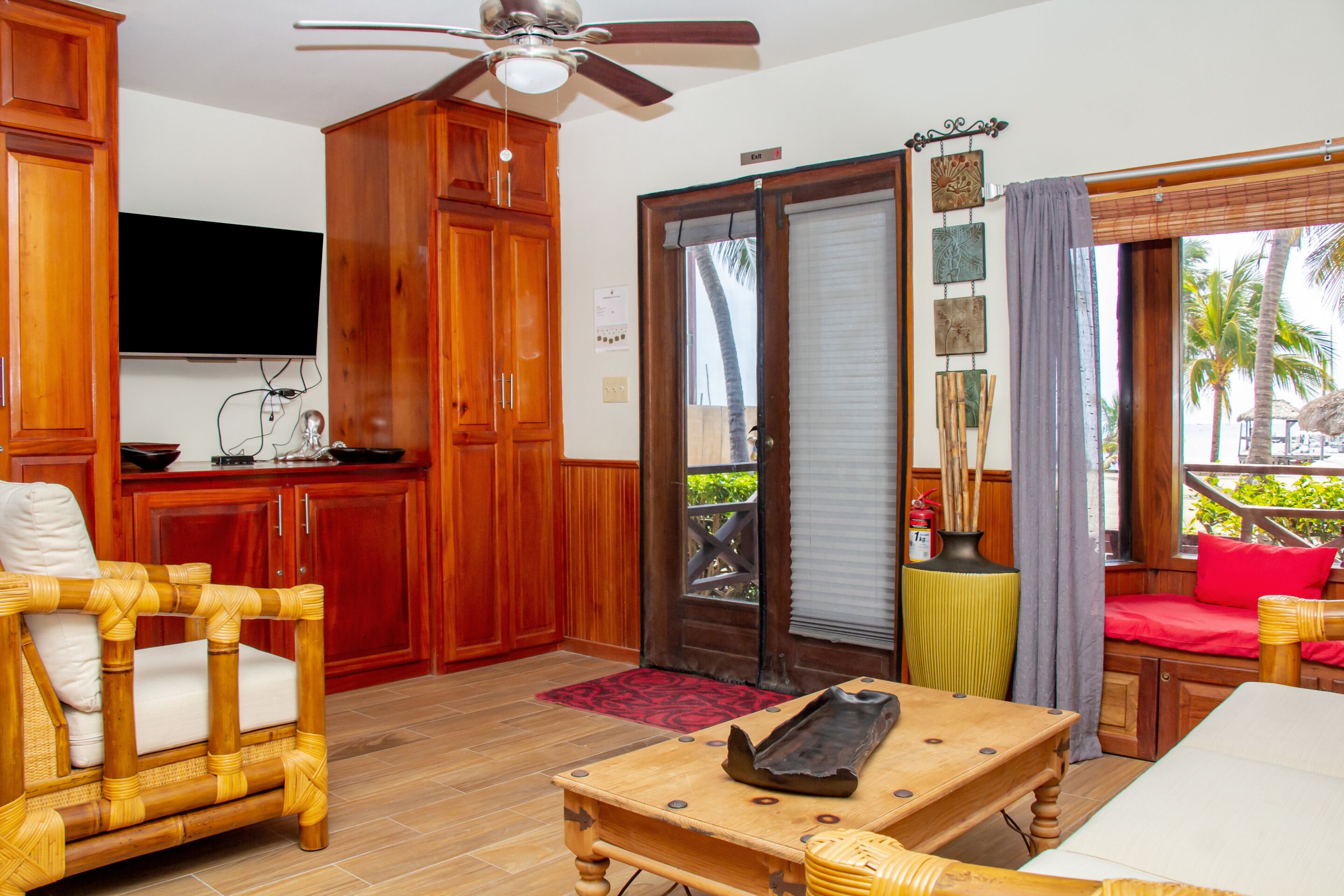 Televisión y impresora 